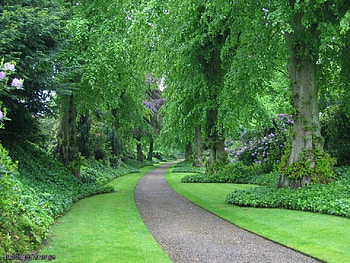 Biddulph Grange., lawn, path, biddulph grange, garden, park, tree HD wallpaper