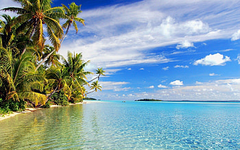 Nature, Palms, Shore, Bank, Slope, Bay, Incline HD wallpaper