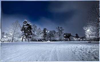 Thats Snow, winter, snow HD wallpaper