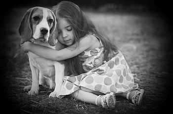 Friends, animal, dog, girl, people HD wallpaper
