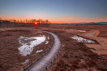 Nature, Trees, Sunset, Grass, Wood, Wooden, Path HD wallpaper