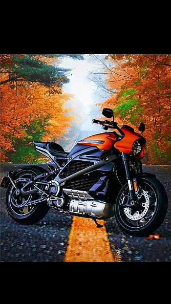 Races, posts HD phone wallpaper