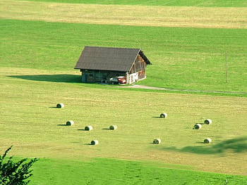 Rolls and Rolls, hay, green, house, land HD wallpaper