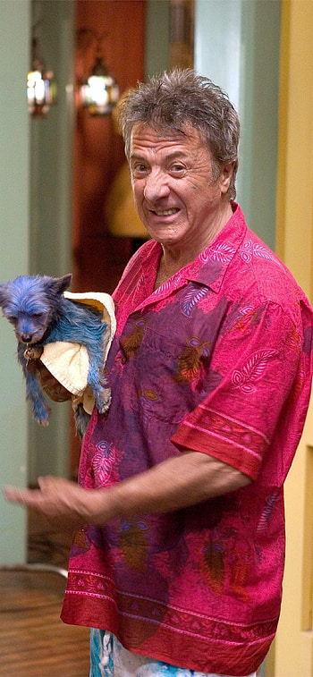 Bernie Focker, Dustin Hoffman HD phone wallpaper