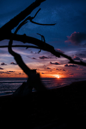 Nature, Sunset, Sea, Clouds, Shore, Bank HD phone wallpaper