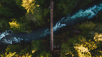 Nature, Rivers, Trees, View From Above, Shore, Bank, Bridge HD wallpaper