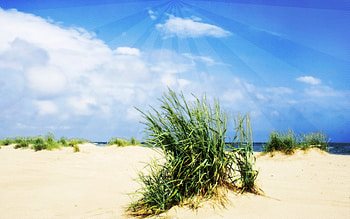 Saltwater HD wallpaper