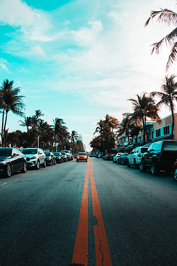 Cities, Sky, Palms, Cars, Road, Markup HD phone wallpaper