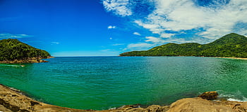 Breathtaking view of a tropical beach with lush greenery and clear blue sky, perfect for relaxation. HD wallpaper