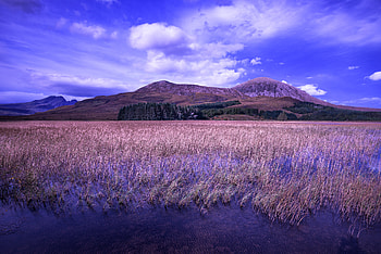 Nature, Rivers, Grass, Hills HD wallpaper