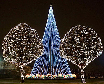 Lights, trees, abstract, light HD wallpaper