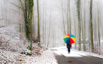 Nature, Snow, Road, Park, Fog, Stroll, Human, Person, Umbrella HD wallpaper
