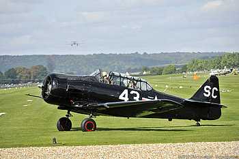 Bearcat, plane, black, airplane HD wallpaper