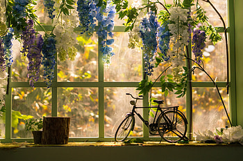 Flowers, Miscellanea, Miscellaneous, Window, Statuette, Bicycle HD wallpaper