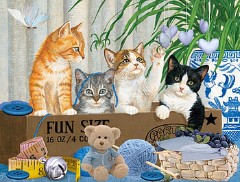 Sweet Cats, toys, teddy, butterfly, flower, cats HD wallpaper