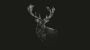 | Background ID:669639 HD wallpaper