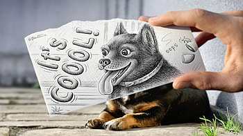 Animals, Hand, Dog, Drawing, , Improvisation, Addition, Supplement HD wallpaper
