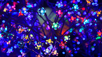 Colorful lights, decoration HD wallpaper