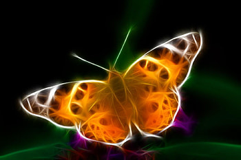 Butterfly, abstract HD wallpaper