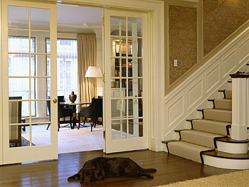 Miscellanea, Miscellaneous, Dog, Ladder, Stairs, Corridor HD wallpaper