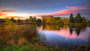 Pastel Landscape, blue, pink, building, sky, still, apartments, water, calm HD wallpaper