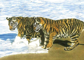 Stripes and surf, white, striped, pair, gold white and black, tigers, surf, ocean HD wallpaper