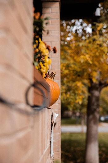 Halloween, Autumn, Pumpkin, Building, Miscellanea, Miscellaneous HD phone wallpaper