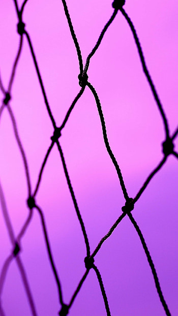 purple, man made, fence HD phone wallpaper