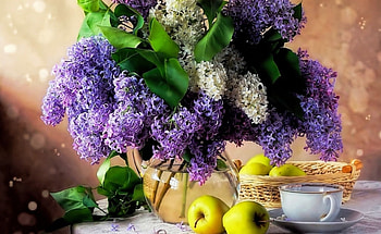 Purple Love, purple, apple, cup, flower HD wallpaper