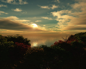 Fall is in the air, awesome, gold, reflections, nice, planty, amazing, sun, amazonm river, sunset, falls, sunsets, reflected, sunrises, obidos, forests, beautiful, brazil, lake, brasil, air, cool, clouds, nature, sky, foliage HD wallpaper