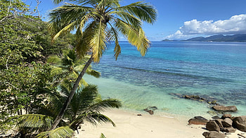 Mahe, Seychelles, sky, sand, ocean, palms, tropical, clouds HD wallpaper