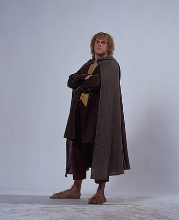 Meriadoc, Lord of the Rings , Fanpop HD phone wallpaper