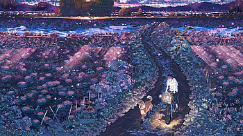 Field Night Anime, anime, field, night, lights HD wallpaper