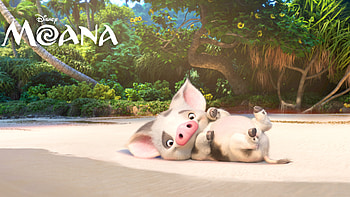 Pua Moana , moana, movies, 2016-movies, animated-movies, pig HD wallpaper