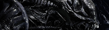 Chitin Armor, H.R. Giger HD wallpaper