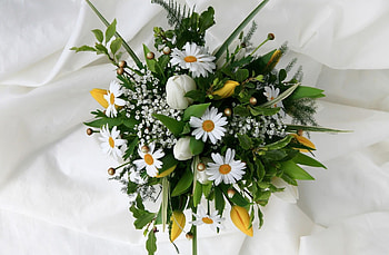 Flowers, Tulips, Camomile, Registration, Typography, Bouquet, Gypsophilus, Gipsophile, Tenderness HD wallpaper