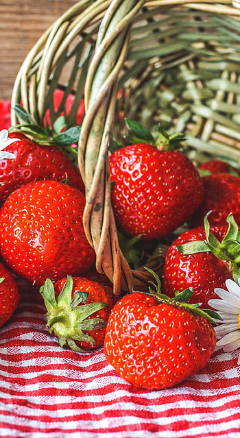 Fruit , Vibrant colors, Fruit graphy, Mouthwatering visuals HD phone wallpaper
