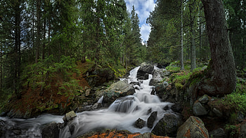 Skakavica Waterfall, Rila national Park, Bulgaria, forest, rocks, river, trees, landscape, stones HD wallpaper