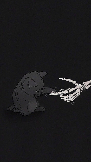 Cat skeleton, skele HD phone wallpaper