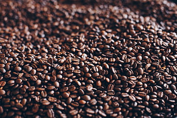 Close-up view of aromatic roasted coffee beans, perfect for caffeine lovers. HD wallpaper