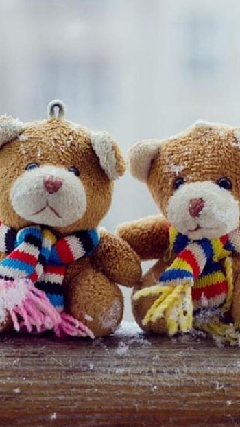 Best Friends, BFF, Teddys HD phone wallpaper