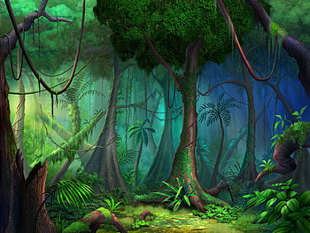 Rainforest Wall Mural HD wallpaper