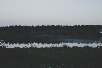 Rivers, Trees, Grass, Dark, Field, Evening HD wallpaper