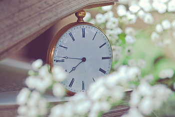 Flowers, Clock, Miscellanea, Miscellaneous, Clock Face, Dial HD wallpaper