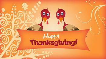 Thanksgiving, Family gathering, Festive feast, Gratitude HD wallpaper