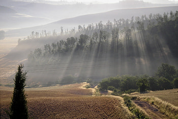 Nature, Sun, Beams, Rays, Fog, Field, Hills, Morning HD wallpaper