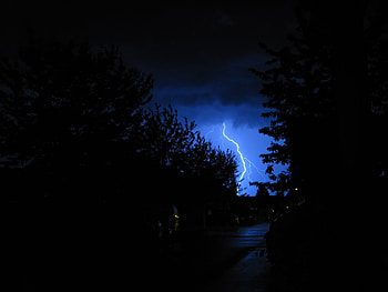 Trees, Sky, Night, Lightning, Dark, Mainly Cloudy, Overcast HD wallpaper