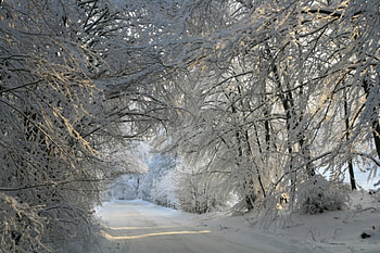 Winter path, snow, bulgaria, trees, forest, vratza HD wallpaper