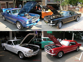 Classic Mustangs, ford, ford mustang, pony car, mustangs HD wallpaper