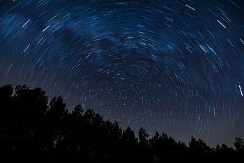 Trees, Universe, Starry Sky, Twisting, Torsion HD wallpaper